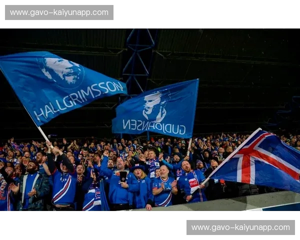 冰岛“童话”的奇迹：当维京战吼响彻欧洲杯的星空